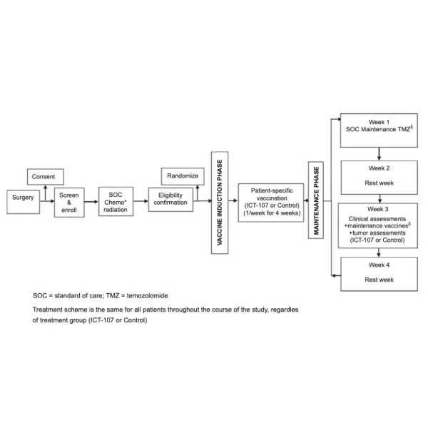 Treatment Scheme