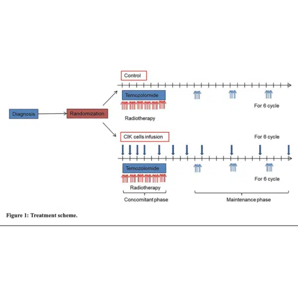 Treatment Scheme