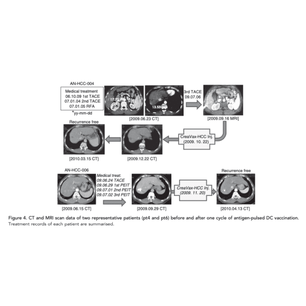 CT & MRI Scan Data