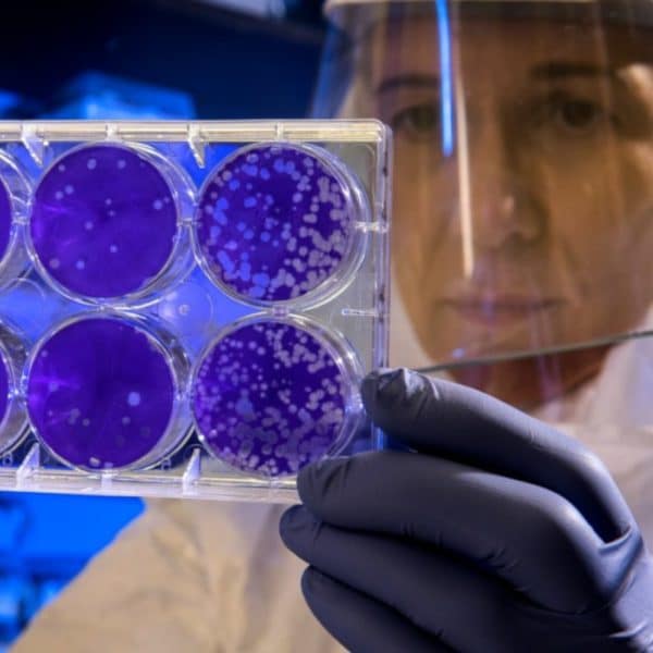 Dendritic Cell Vaccine