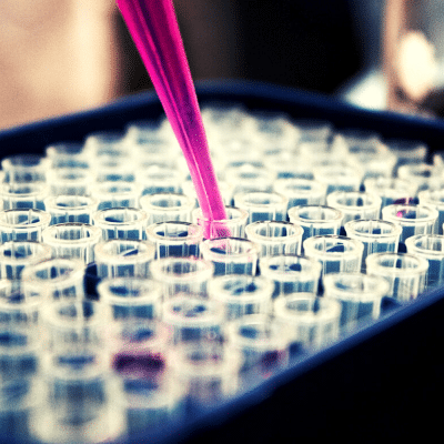 The Lab plays an important role