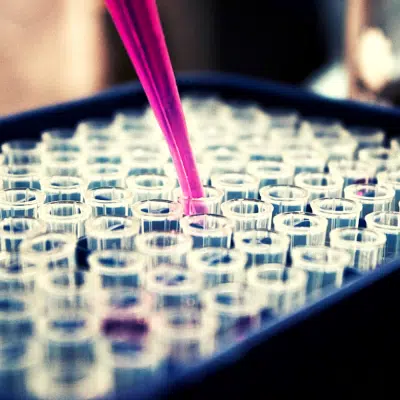The Lab plays an important role