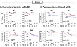 Triple Negative Breast Cancer: pDC Show Stronger Correlation with Tumor Infiltrating Lymphocytes and Improved Survival Compared to cDC - treatment - immucura