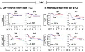 Triple Negative Breast Cancer: pDC Show Stronger Correlation with Tumor Infiltrating Lymphocytes and Improved Survival Compared to cDC - treatment - immucura