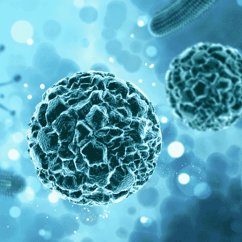 Understanding Different Types of Lung Cancer