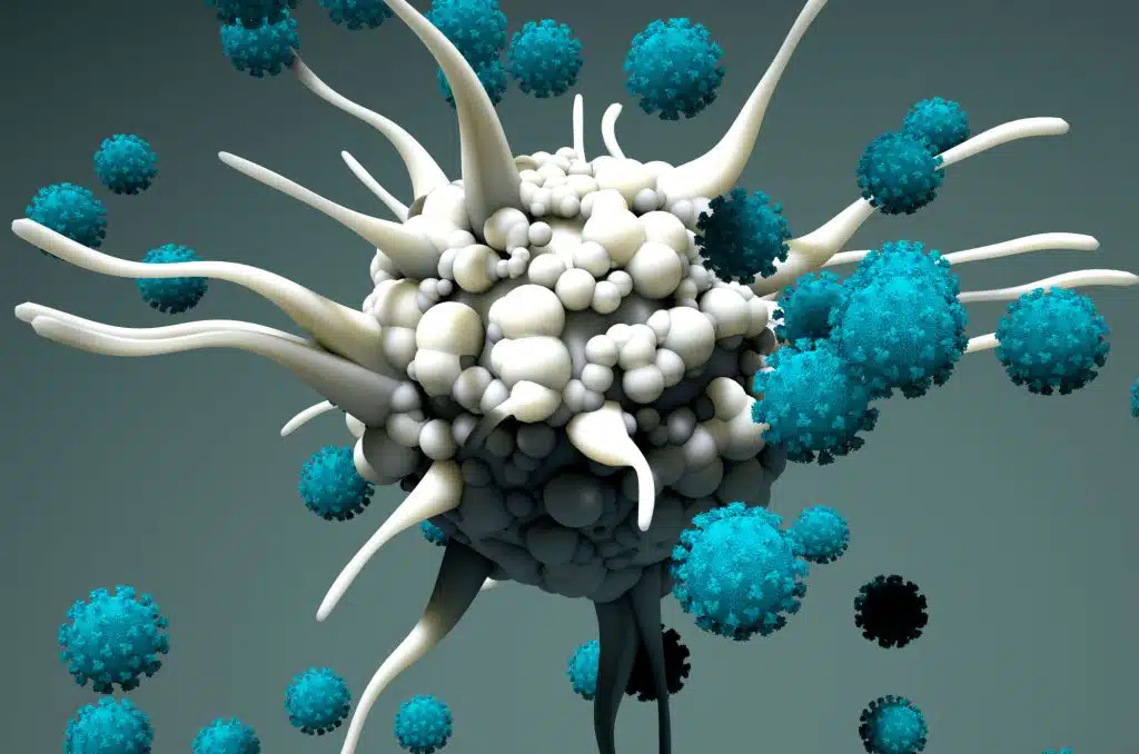 Cell